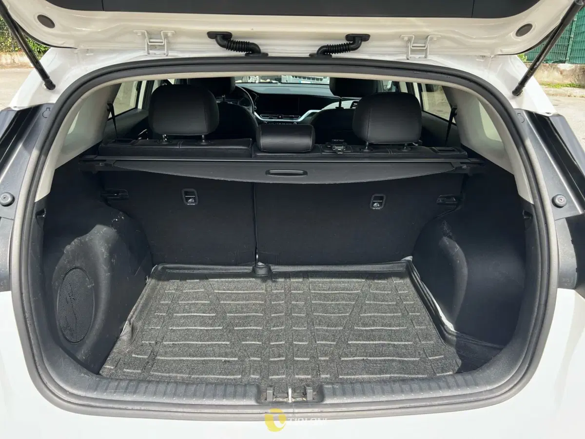 Kia Niro usata a Milano (17)