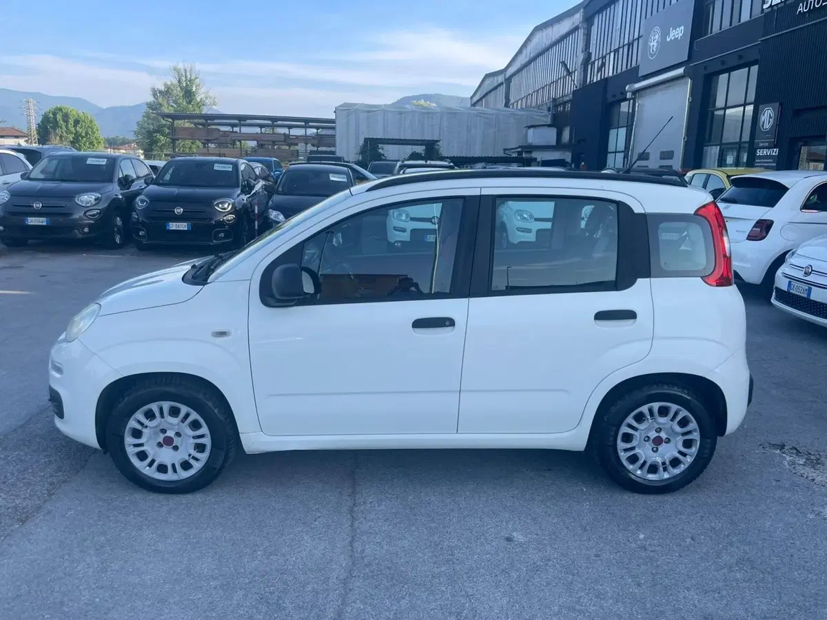Fiat Panda usata a Lucca (2)