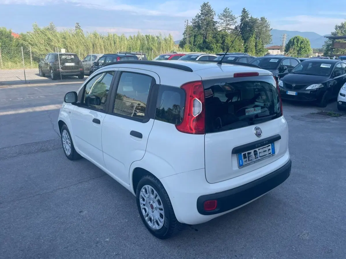 Fiat Panda usata a Lucca (3)