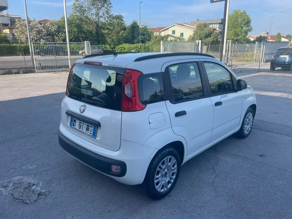 Fiat Panda usata a Lucca (4)