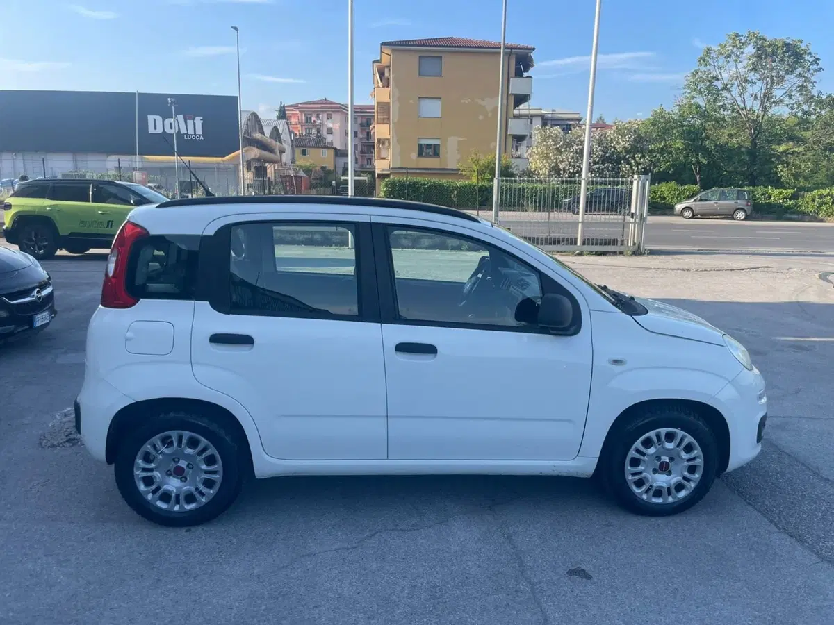 Fiat Panda usata a Lucca (5)