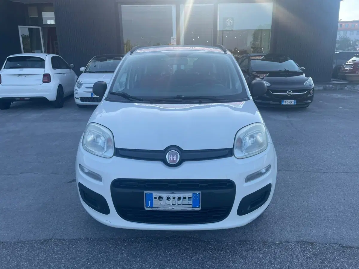 Fiat Panda usata a Lucca (7)