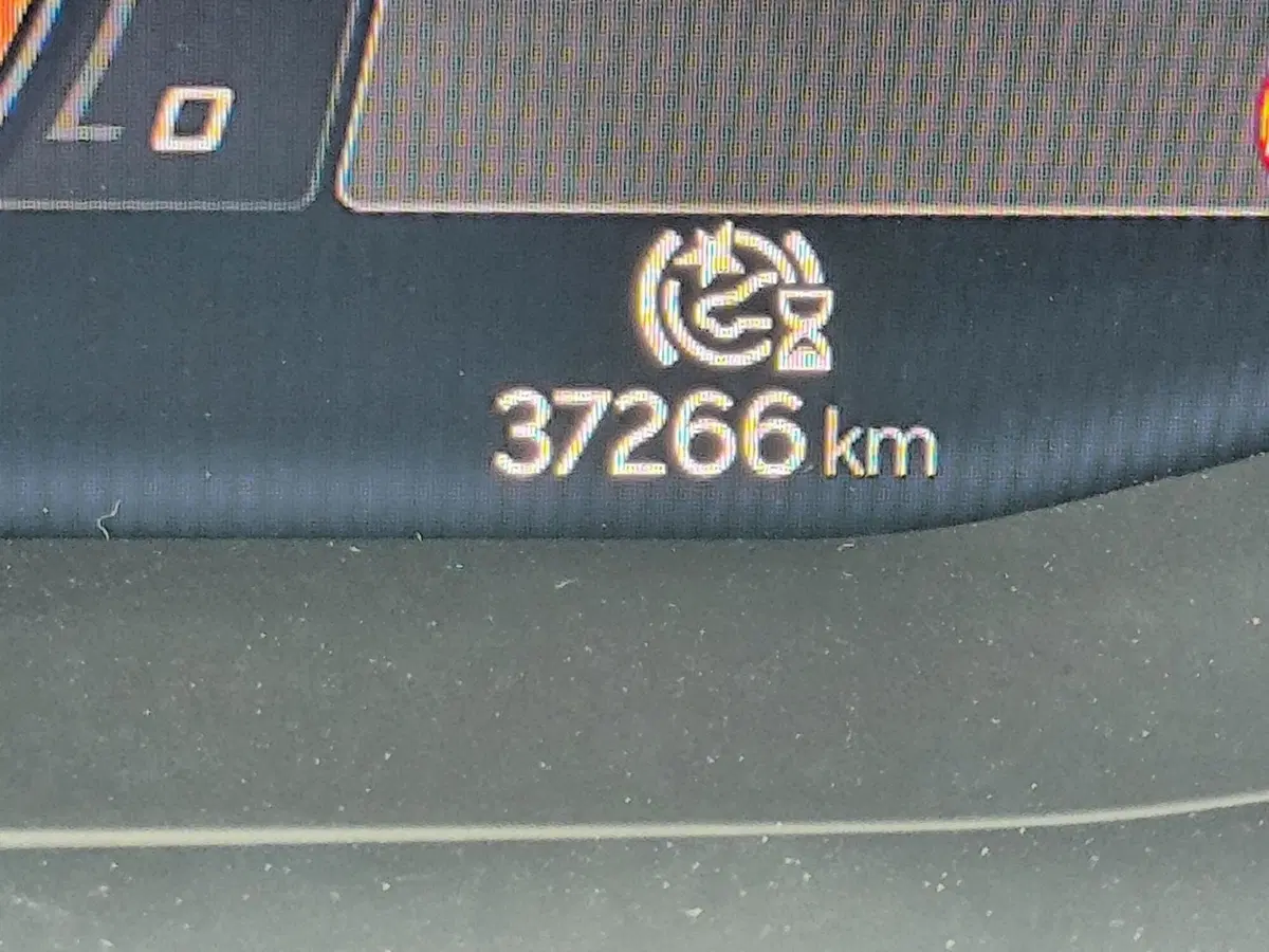 Cupra Leon usata a Udine (15)