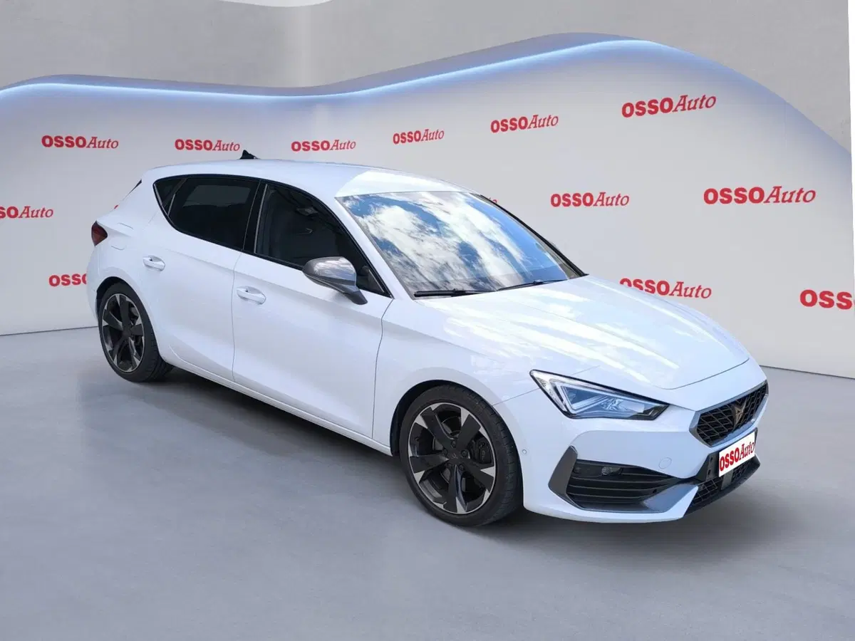 Cupra Leon usata a Udine (2)