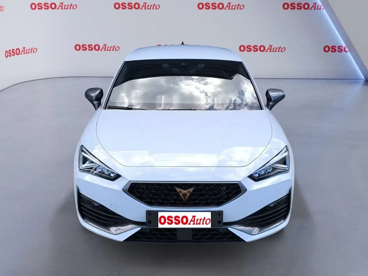 Cupra Leon usata a Udine (5)