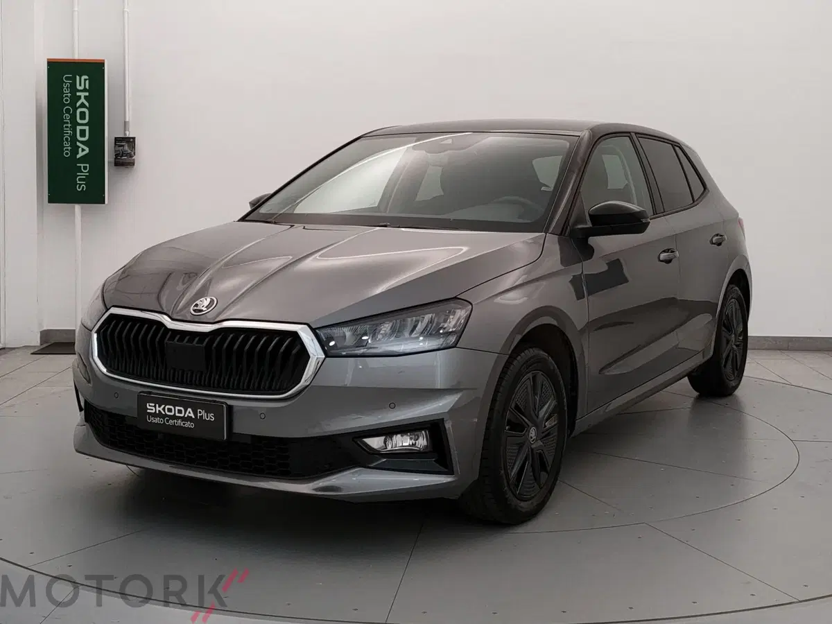 Skoda Fabia usata a Varese