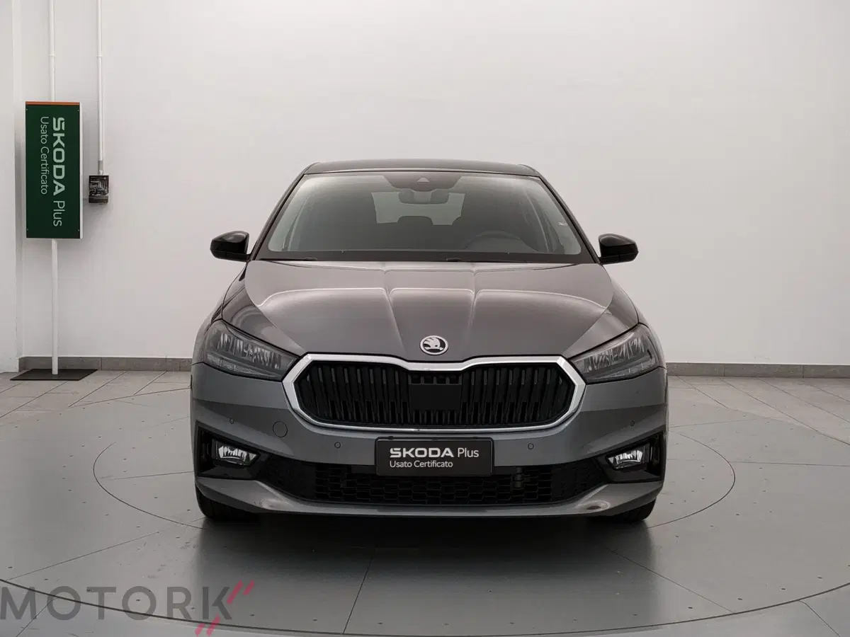 Skoda Fabia usata a Varese (2)