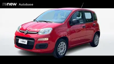 Fiat Panda 1.2 Easy del 2019 usata a Albignasego