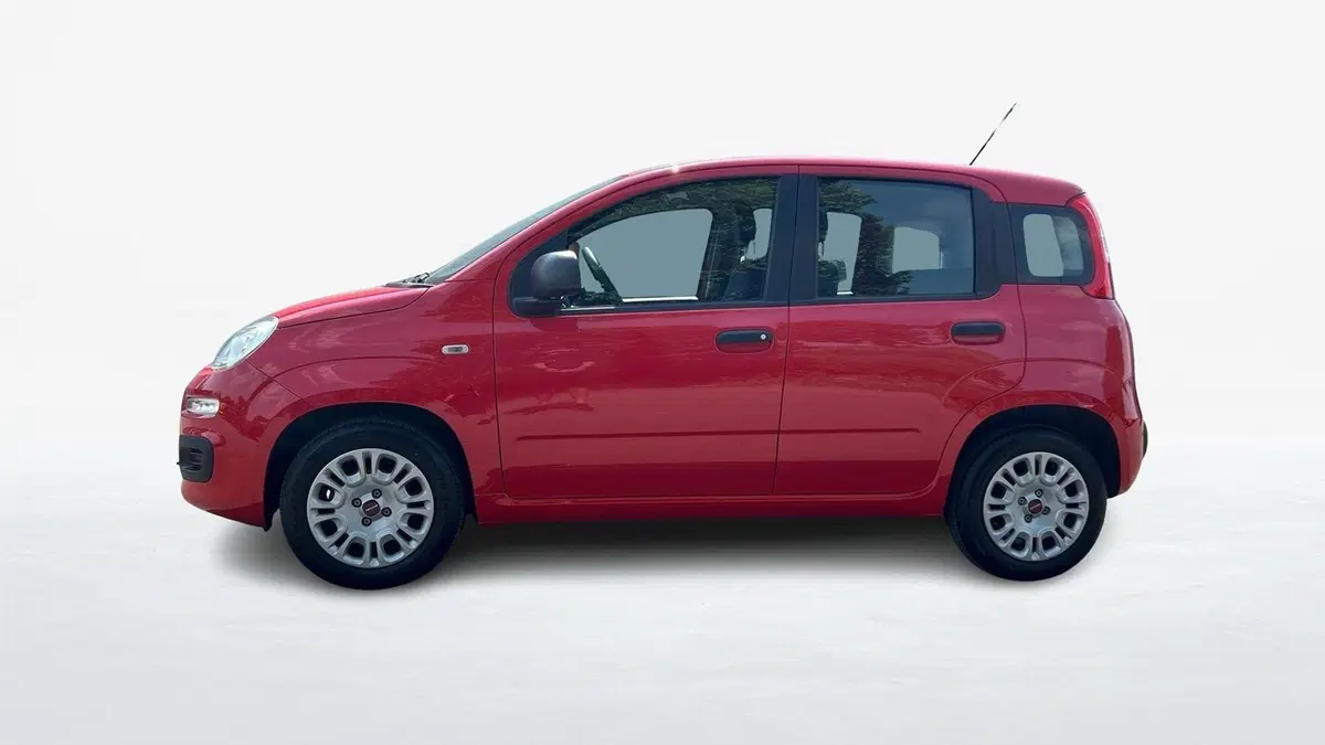 Fiat Panda usata a Padova (3)