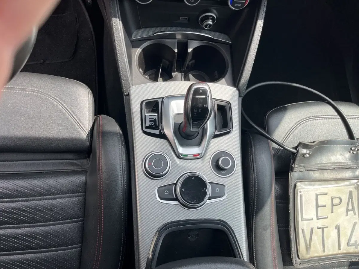 Alfa Romeo Stelvio usata a Massa-Carrara (11)