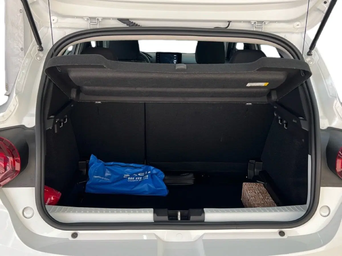 Dacia Sandero usata a Roma (10)