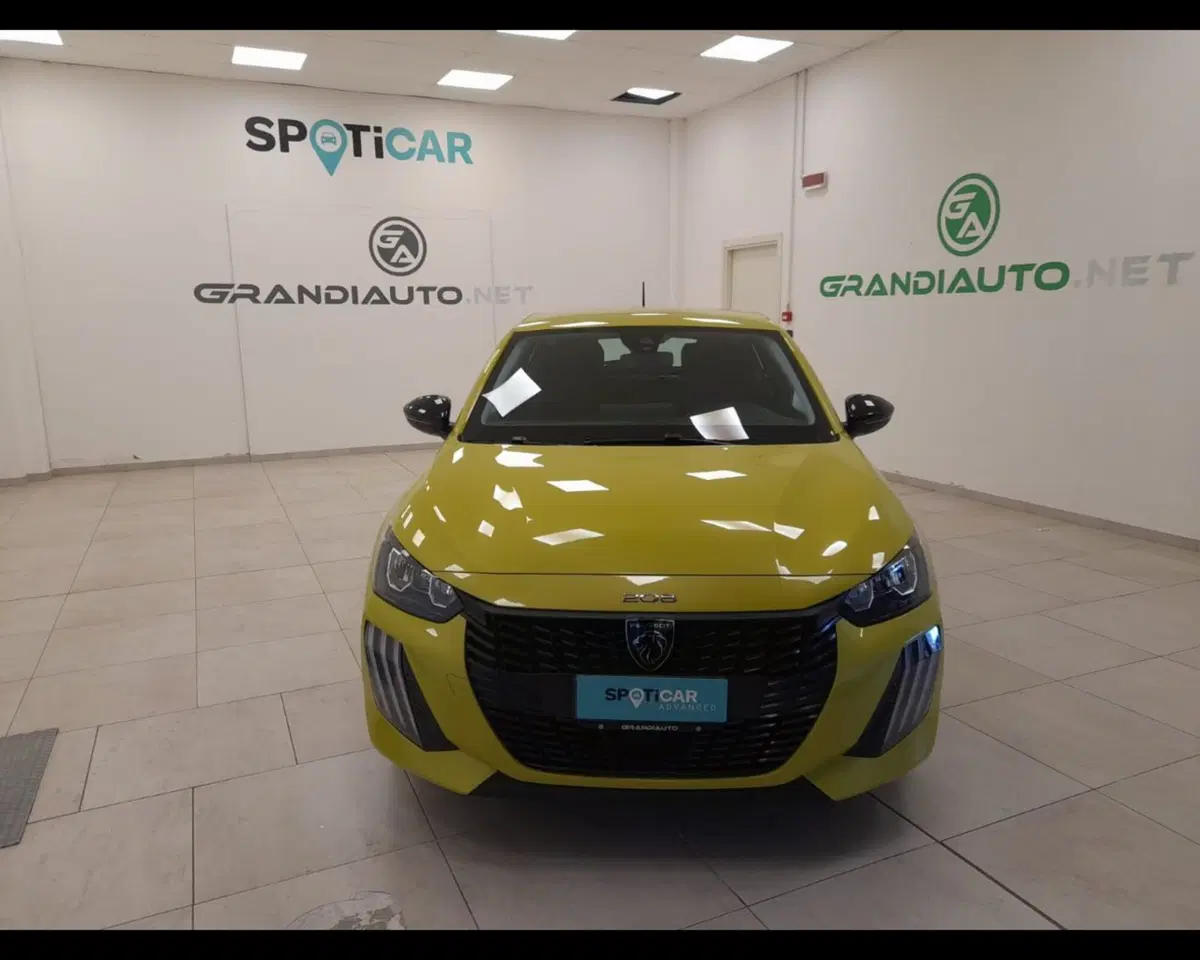 Peugeot 208 usata a Alessandria (8)
