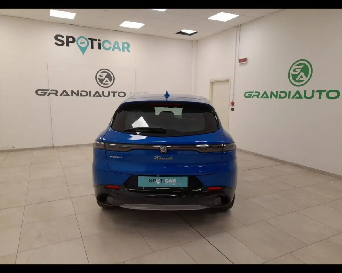 Alfa Romeo Tonale usata a Alessandria (5)