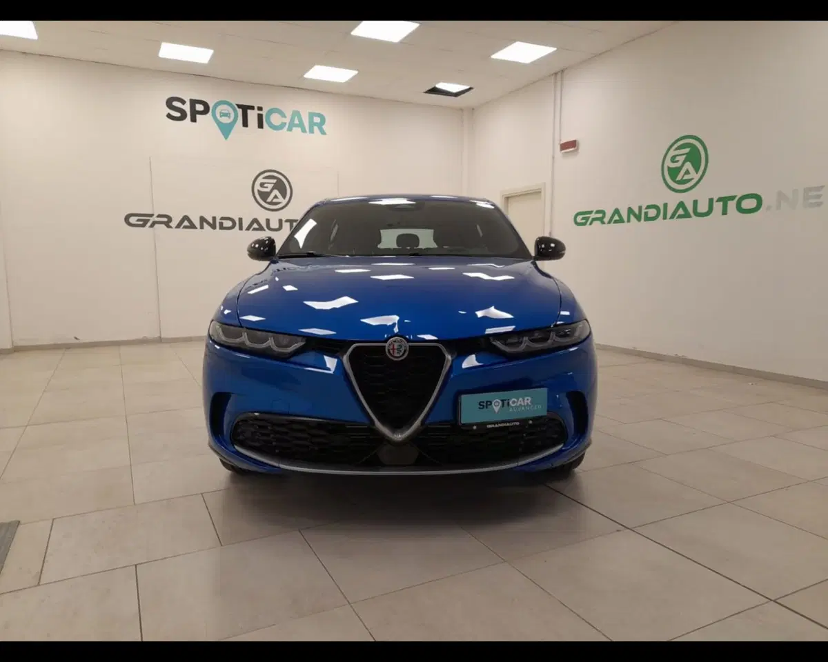 Alfa Romeo Tonale usata a Alessandria (9)