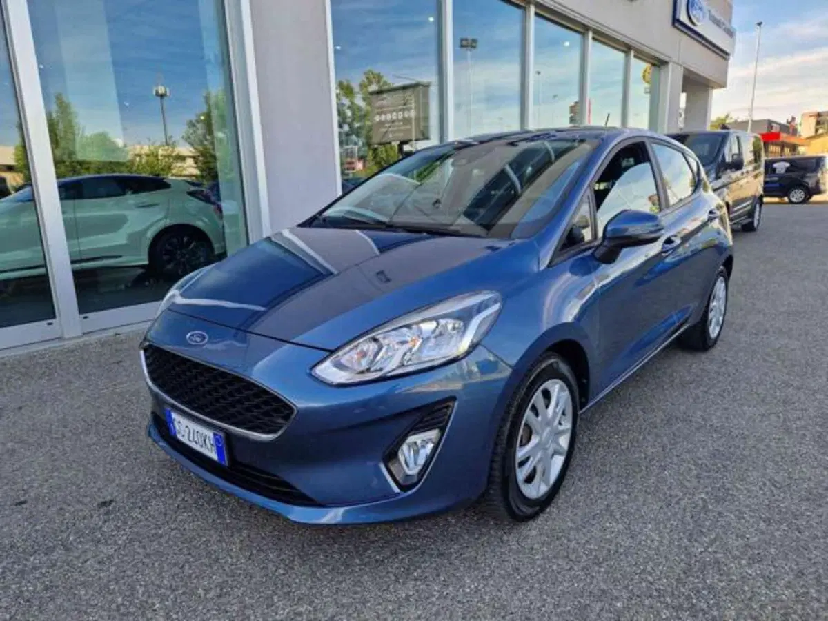 Ford Fiesta usata a Bologna