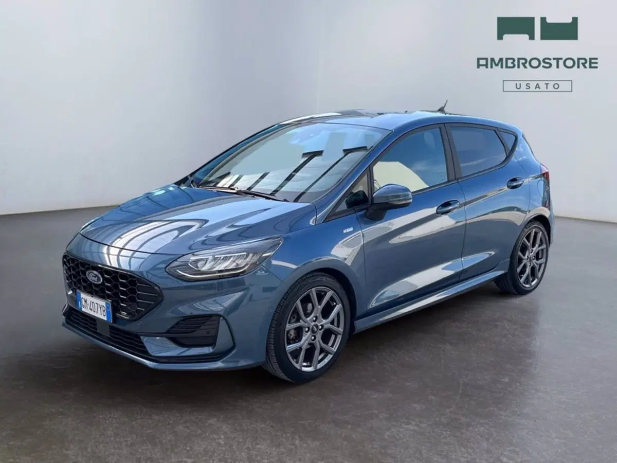 Ford Fiesta usata a Milano