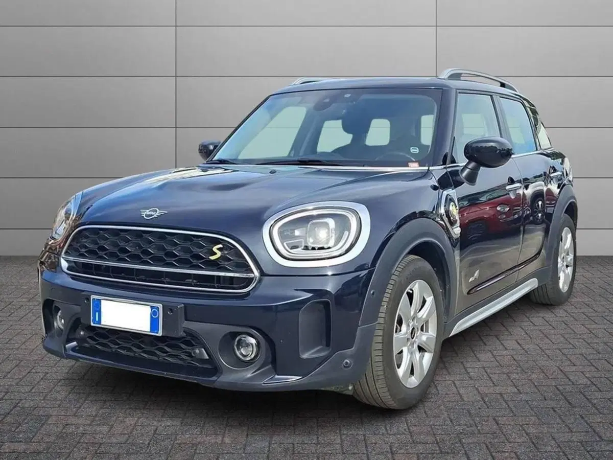 MINI Mini Countryman usata a Torino