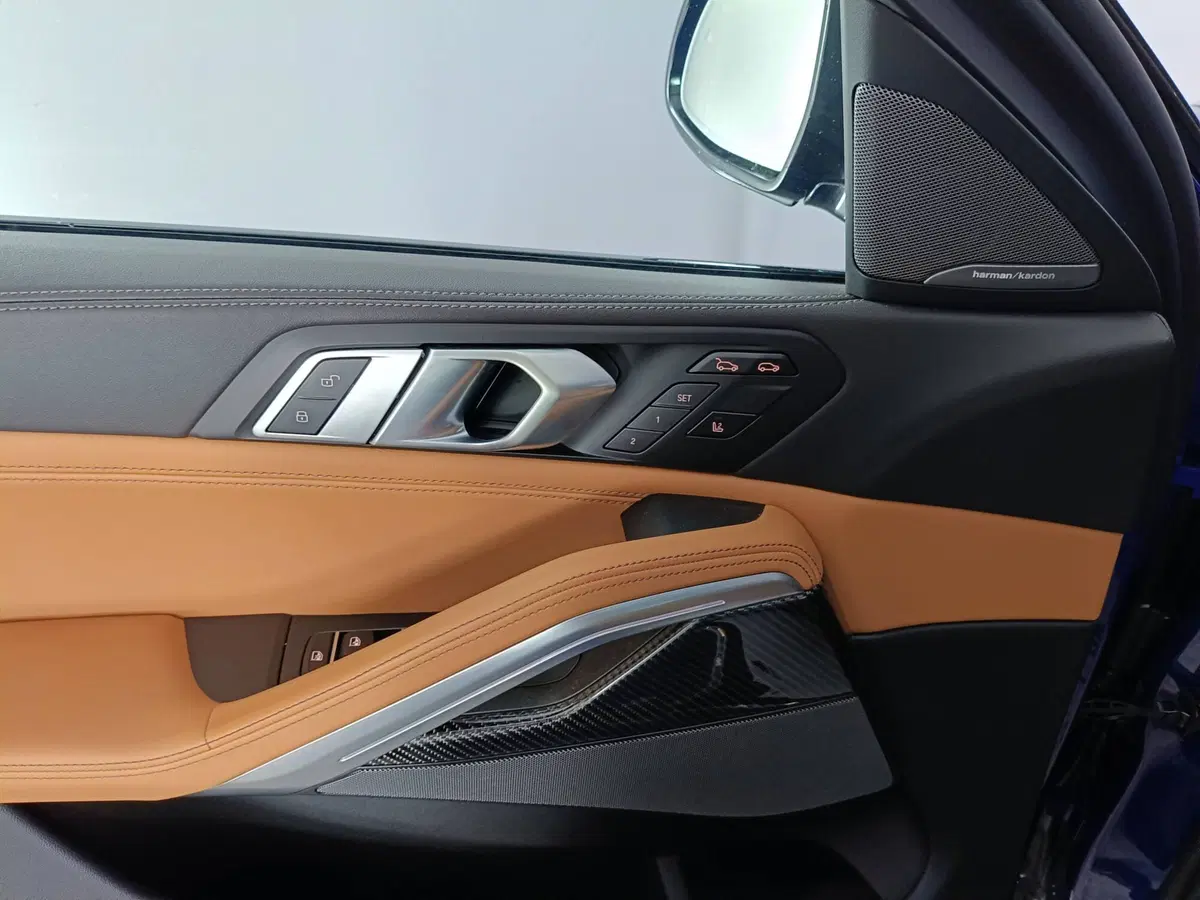 BMW X6 usata a Ascoli Piceno (18)