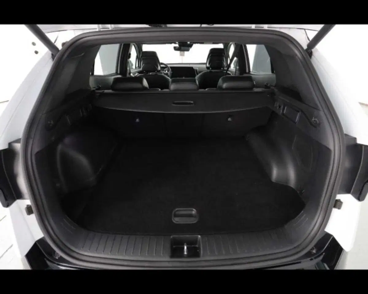 Kia Sportage usata a Bologna (15)