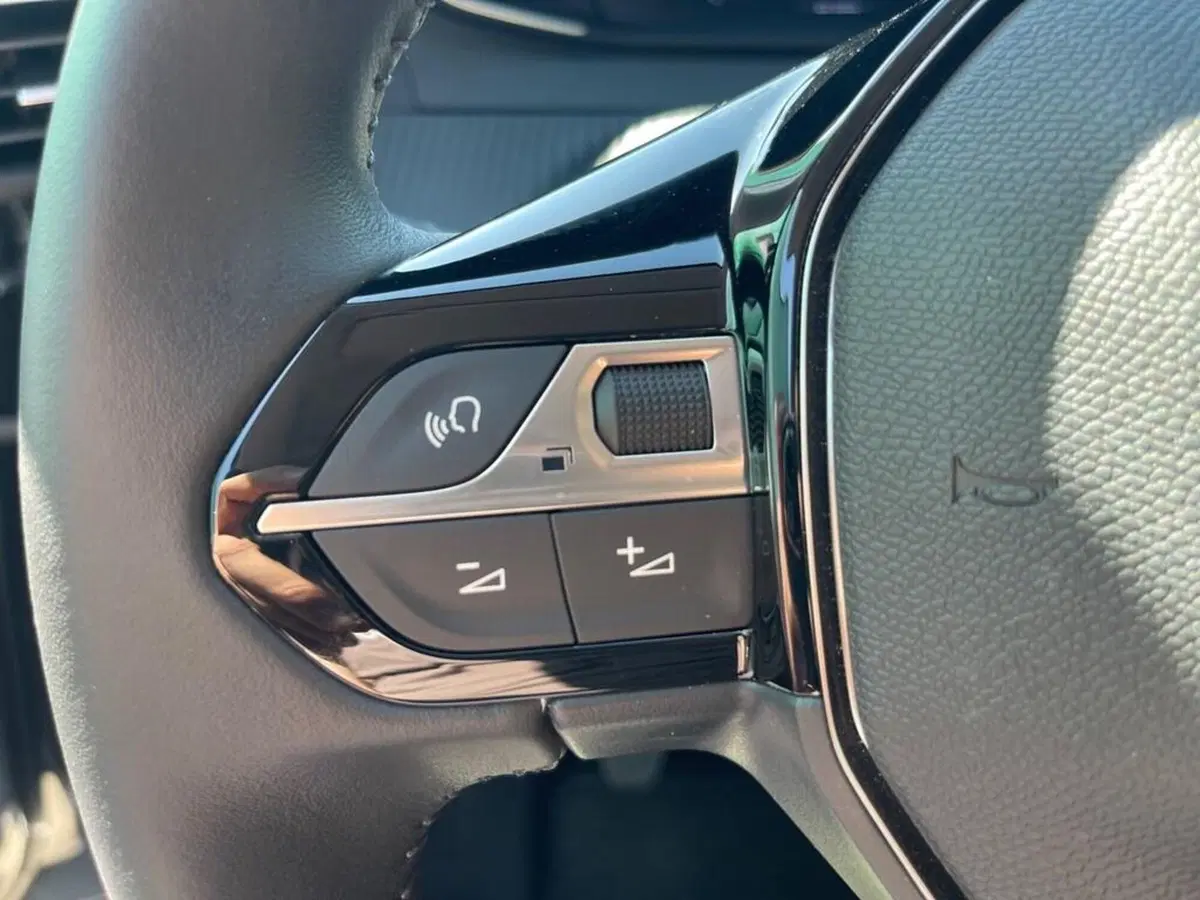 Peugeot 208 usata a Torino (13)