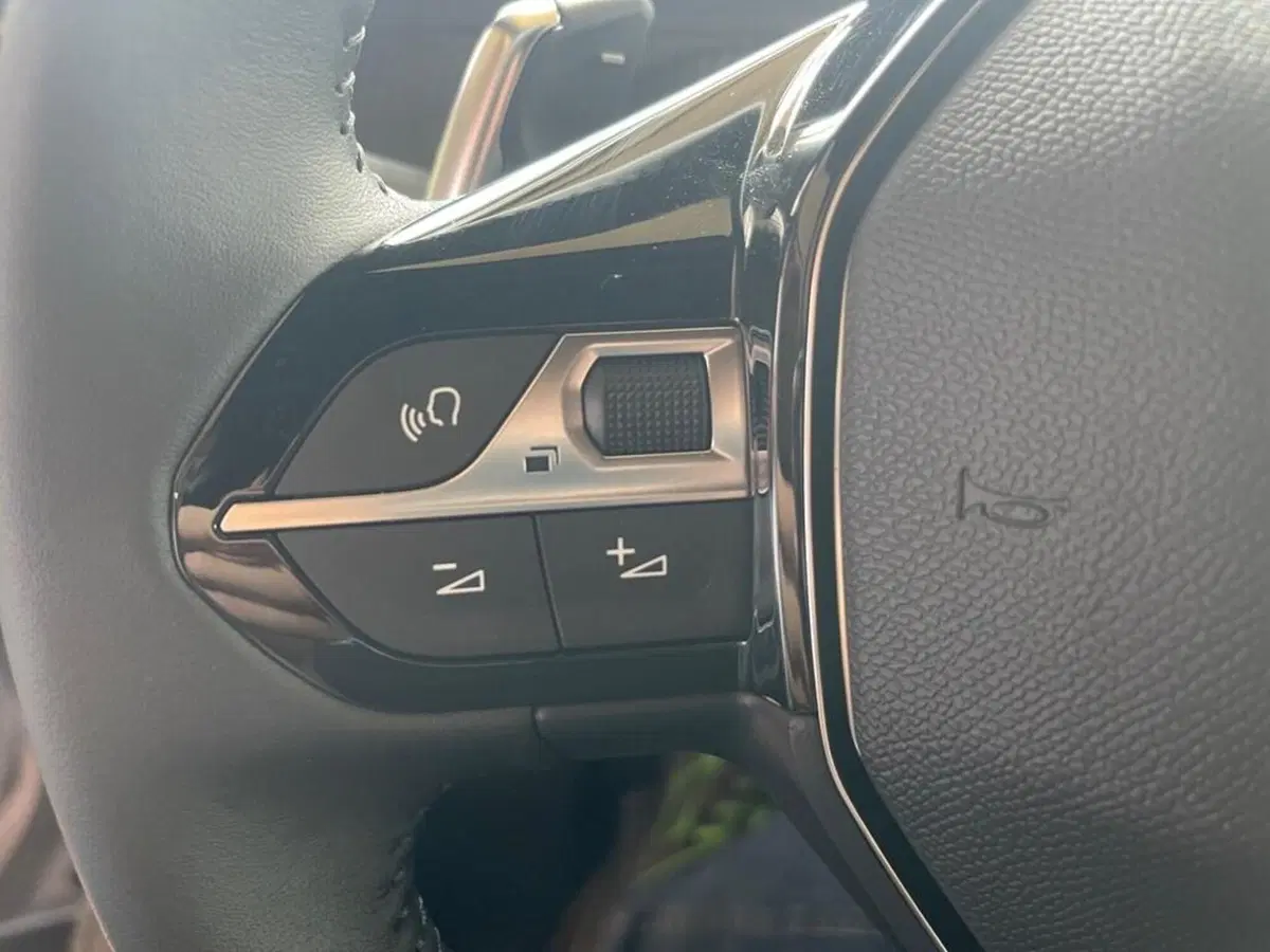 Peugeot 2008 nuova a Torino (12)