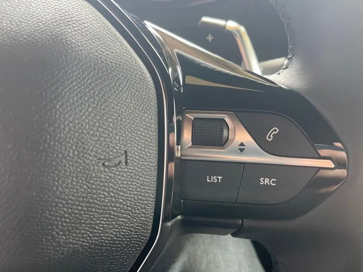 Peugeot 2008 nuova a Torino (13)
