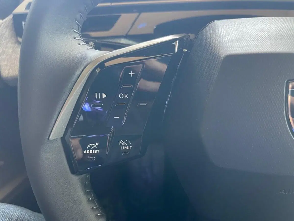 Peugeot 5008 nuova a Torino (12)