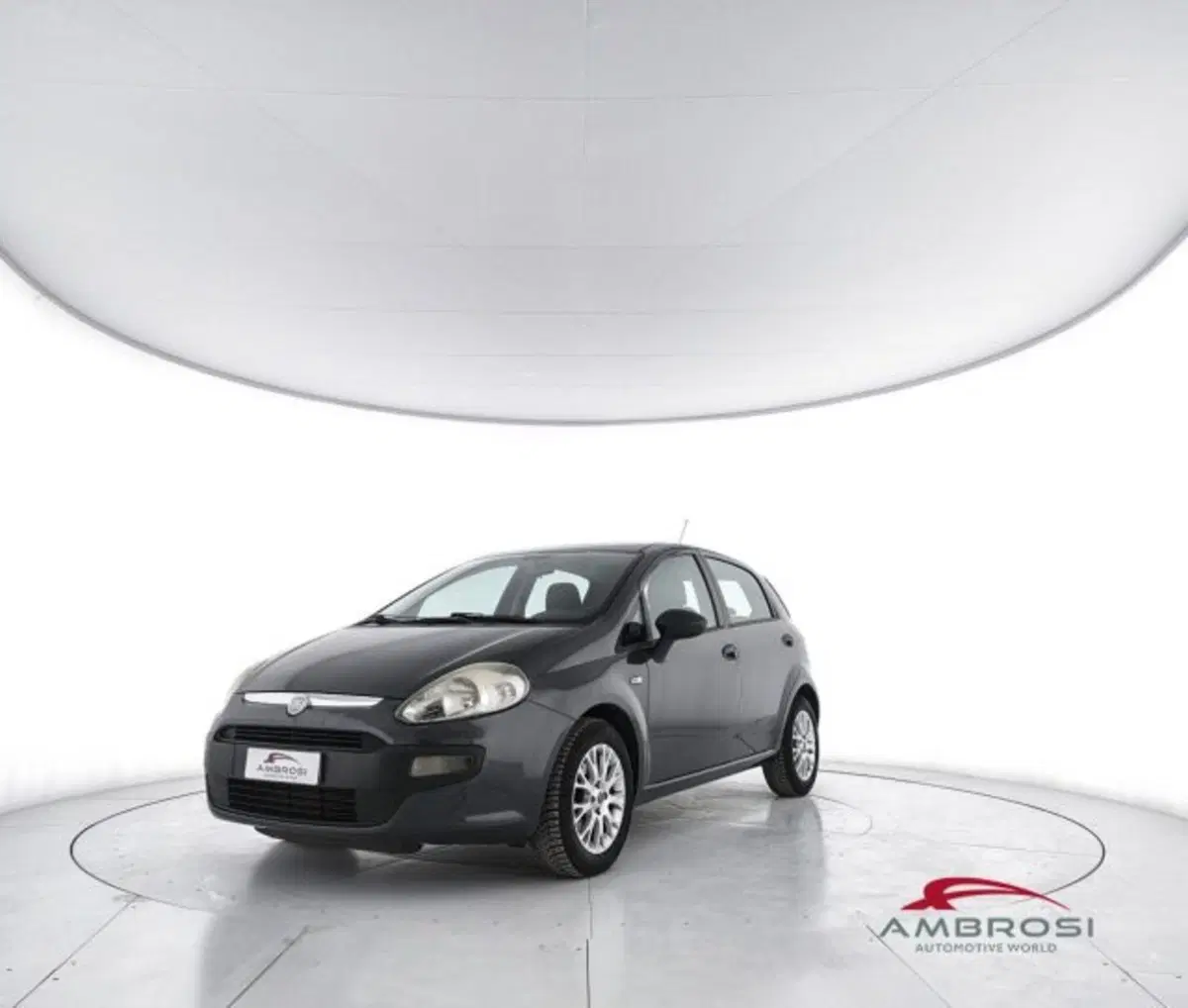 Fiat Punto Evo usata a Perugia