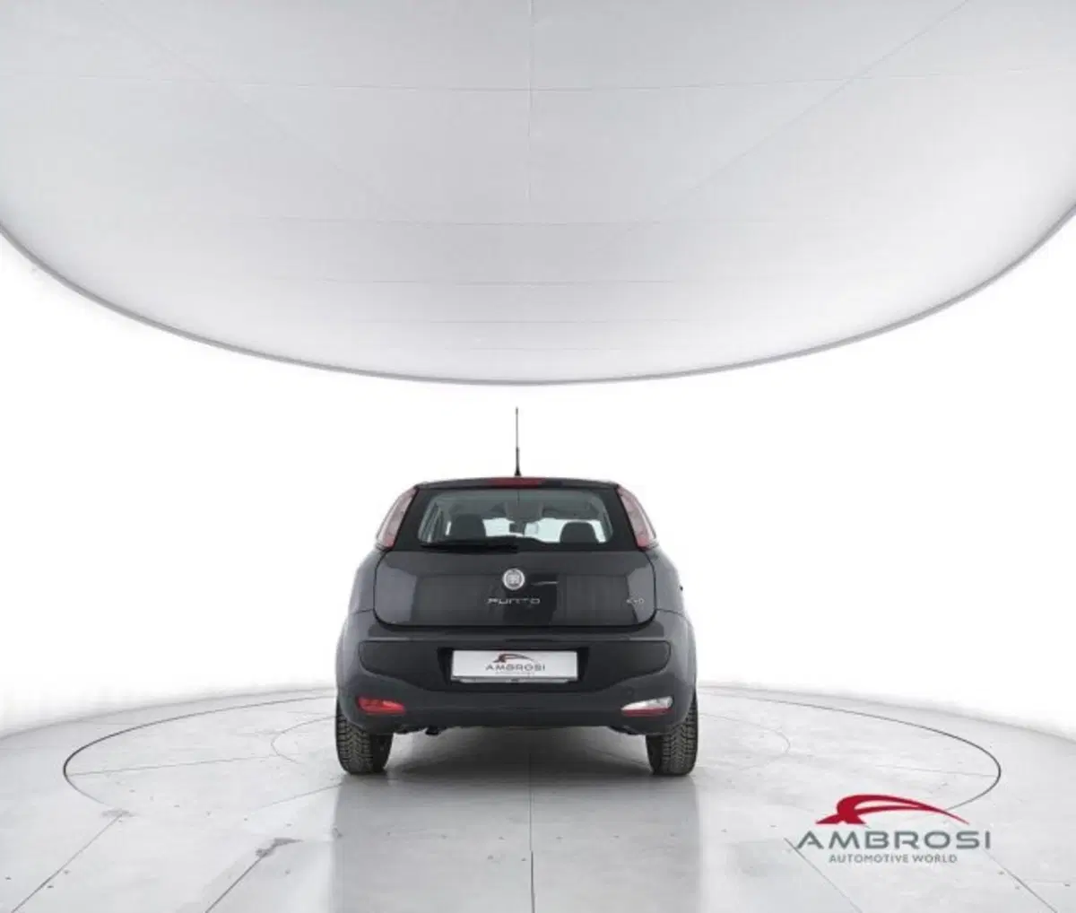 Fiat Punto Evo usata a Perugia (6)
