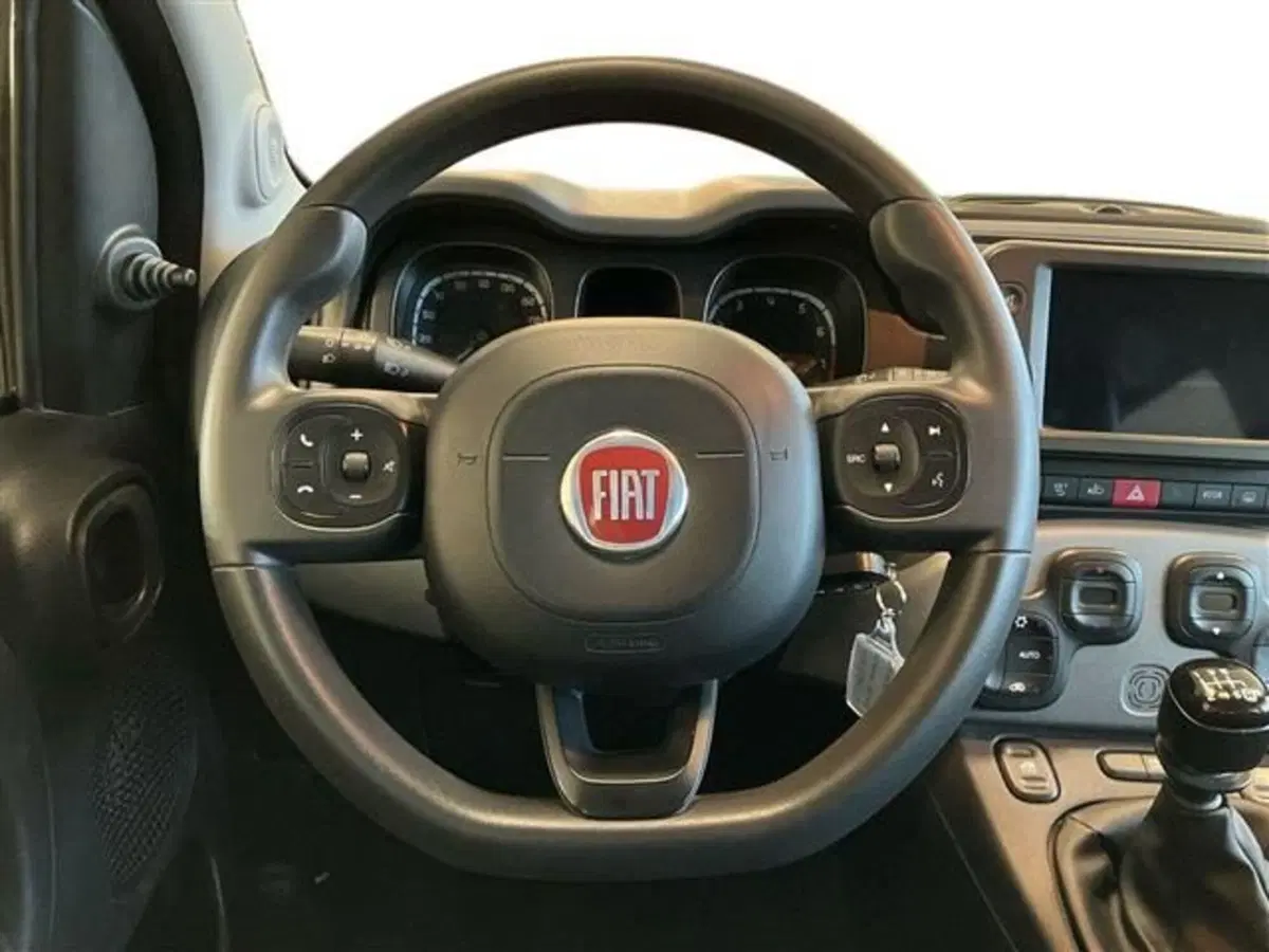 Fiat Panda Cross usata a Como (16)