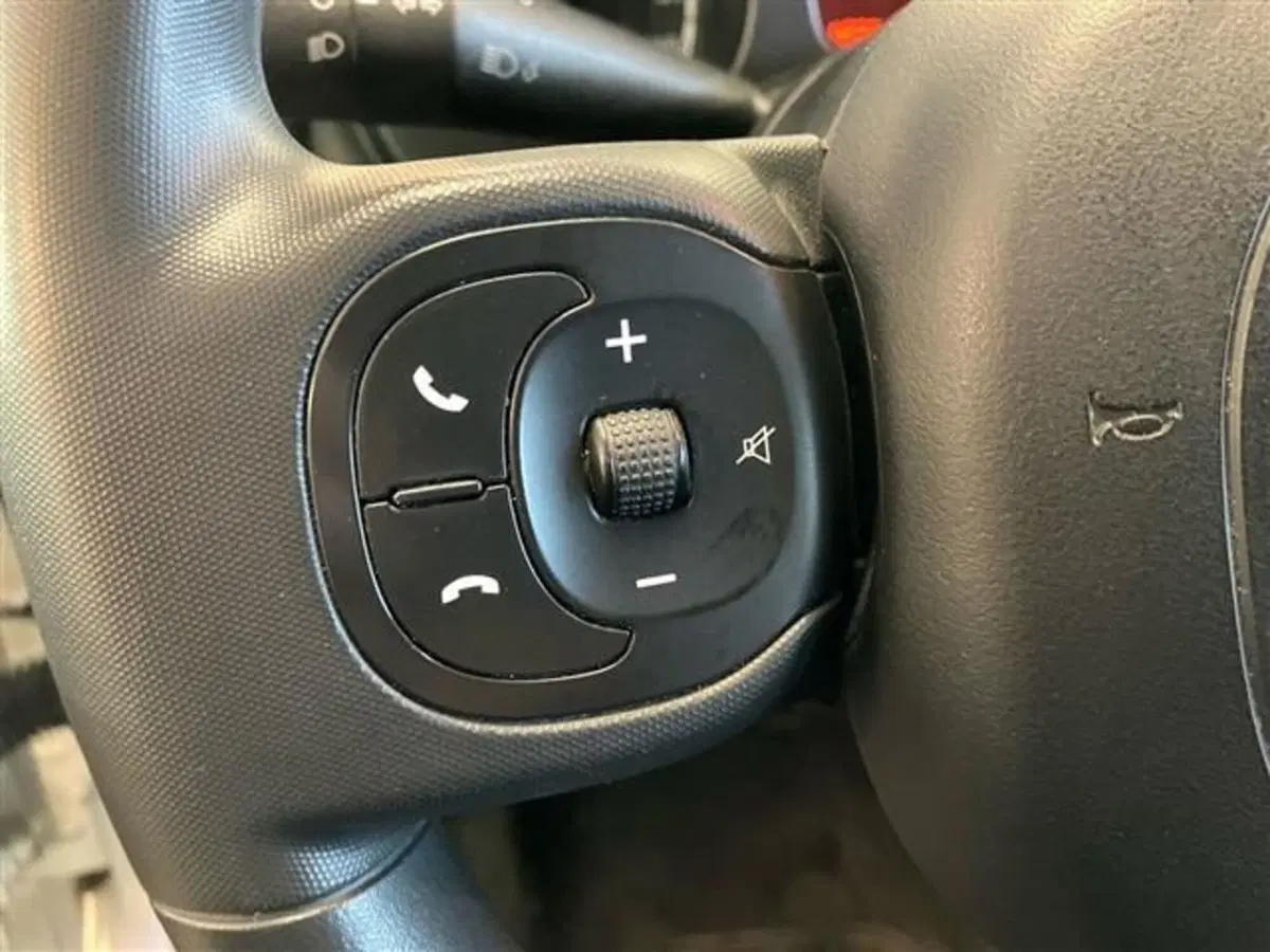 Fiat Panda Cross usata a Como (17)