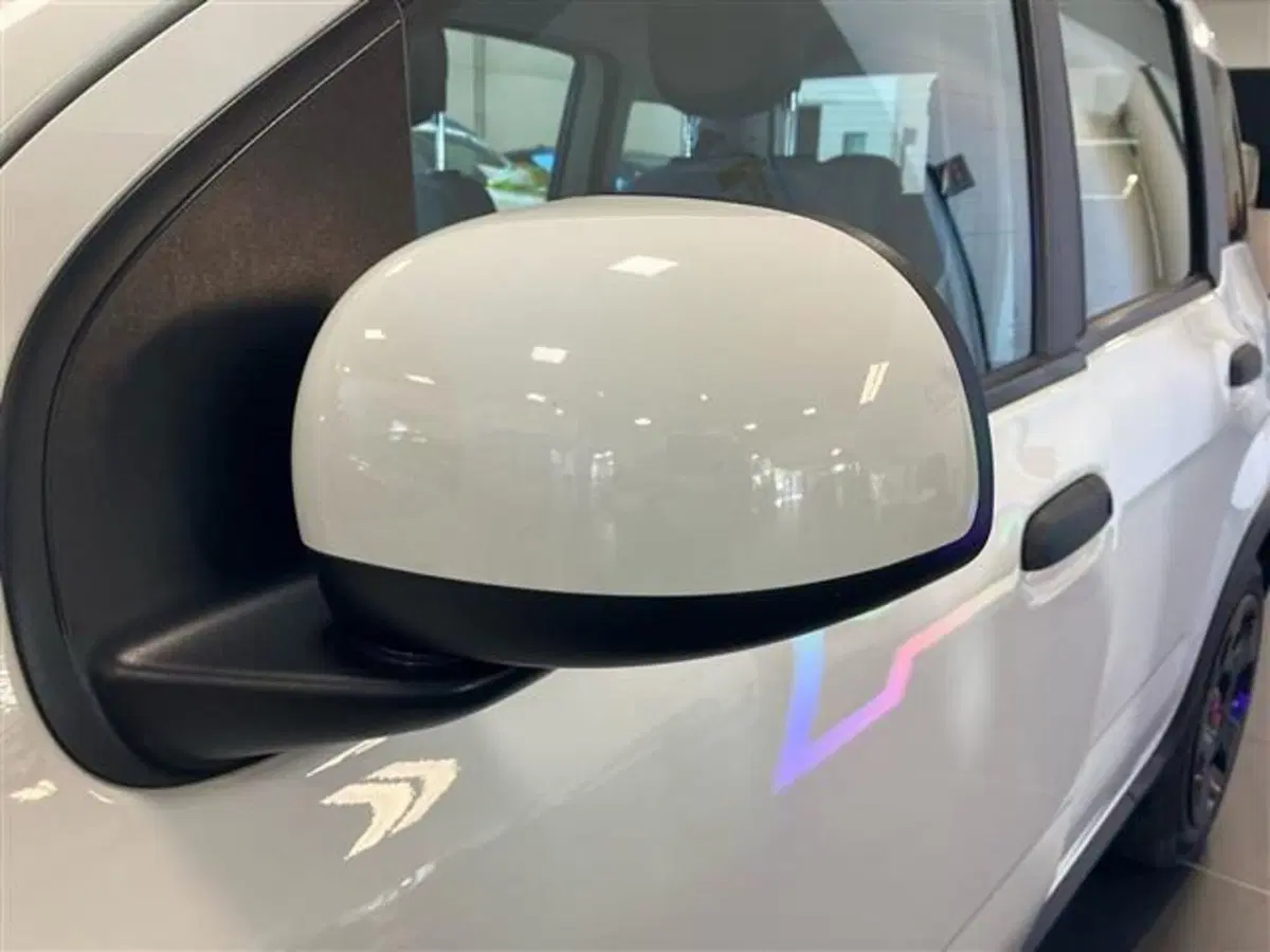Fiat Panda Cross usata a Como (19)