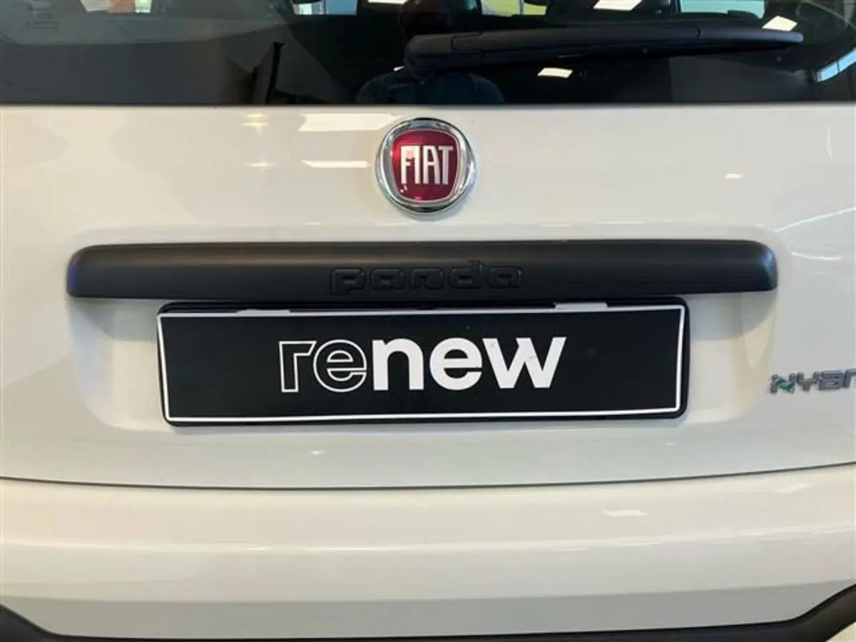 Fiat Panda Cross usata a Como (20)