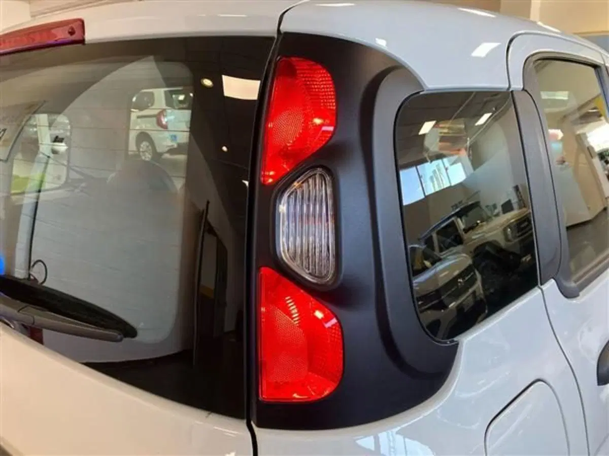 Fiat Panda Cross usata a Como (8)
