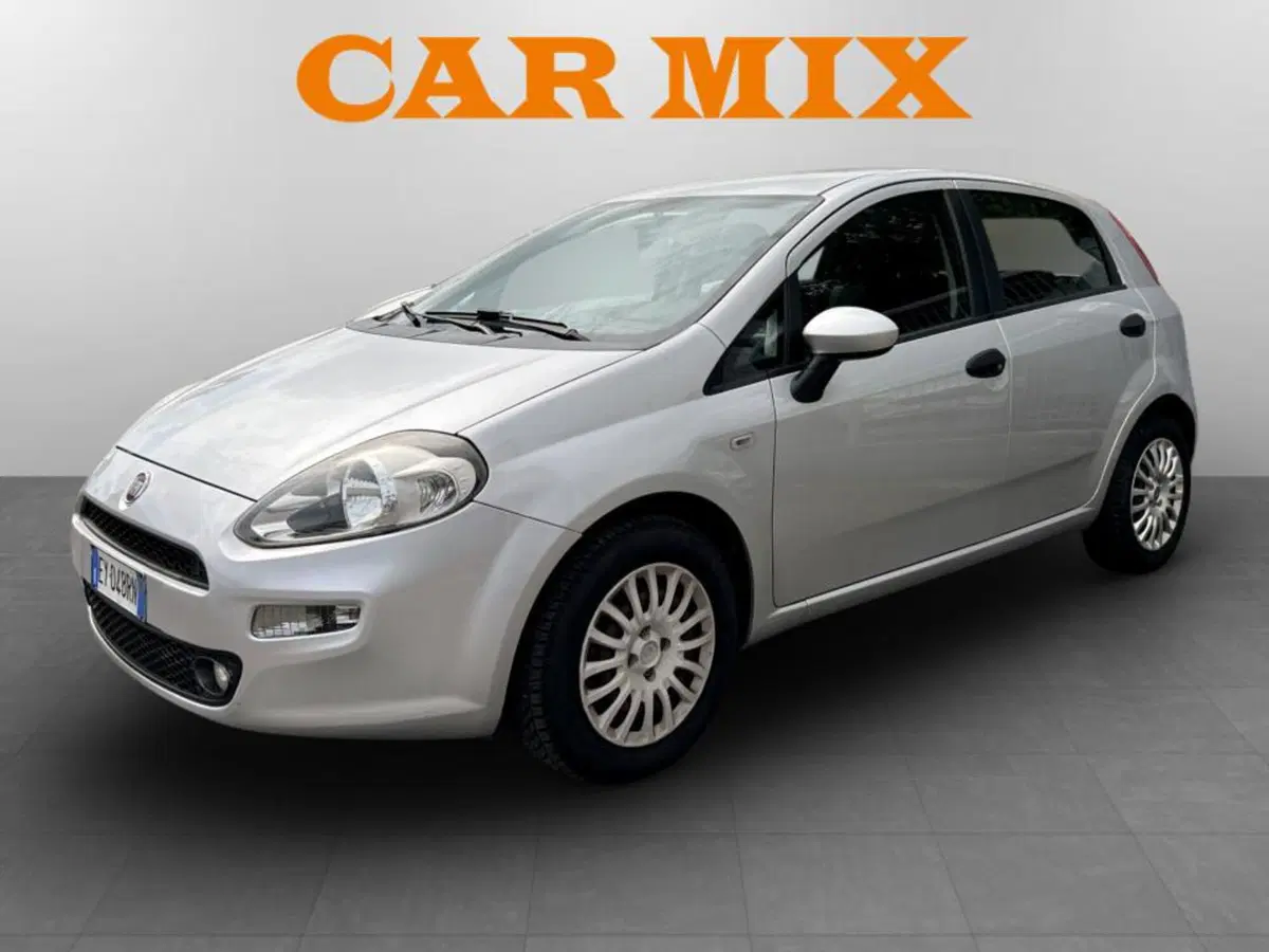 Fiat Punto usata a Piacenza
