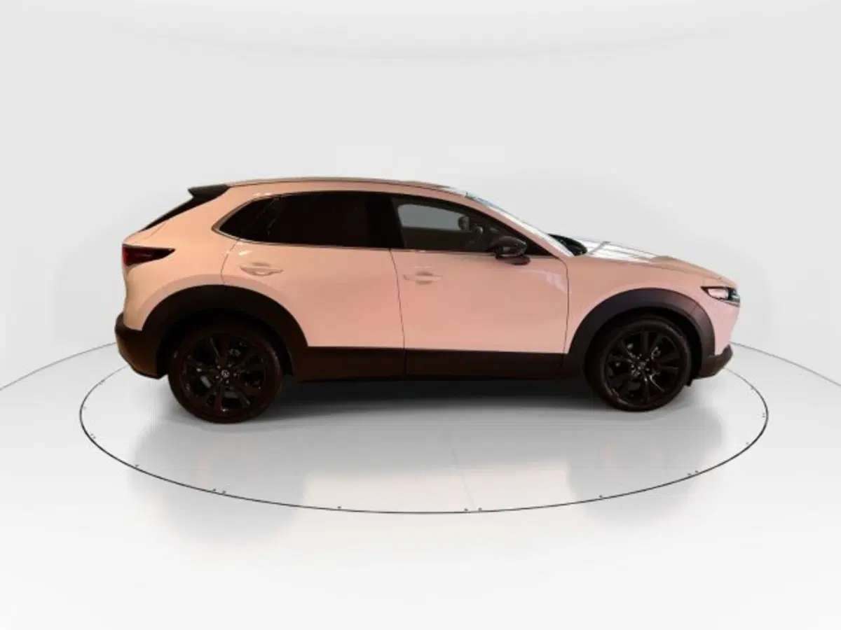 Mazda CX-30 usata a Modena (8)