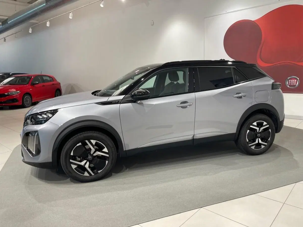 Peugeot 2008 usata a Sondrio (2)