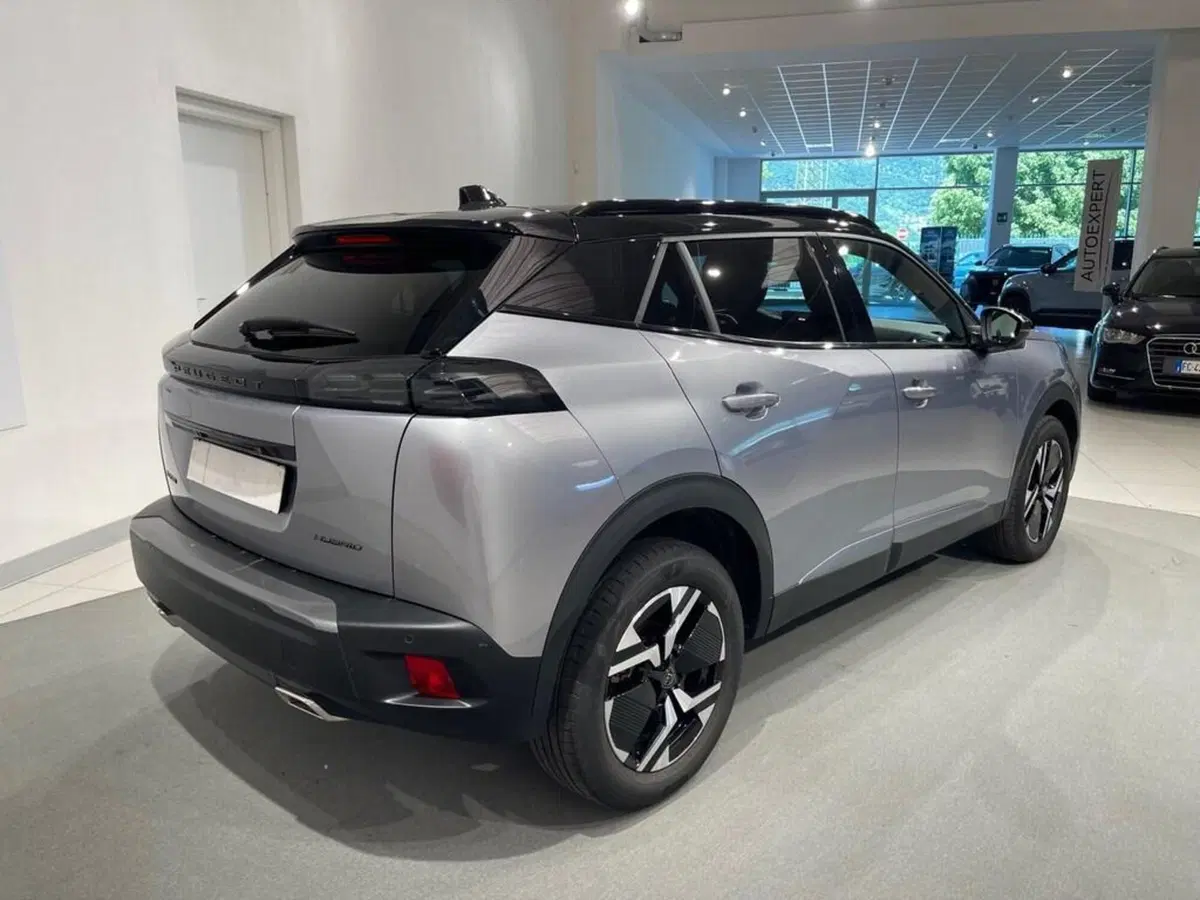 Peugeot 2008 usata a Sondrio (5)