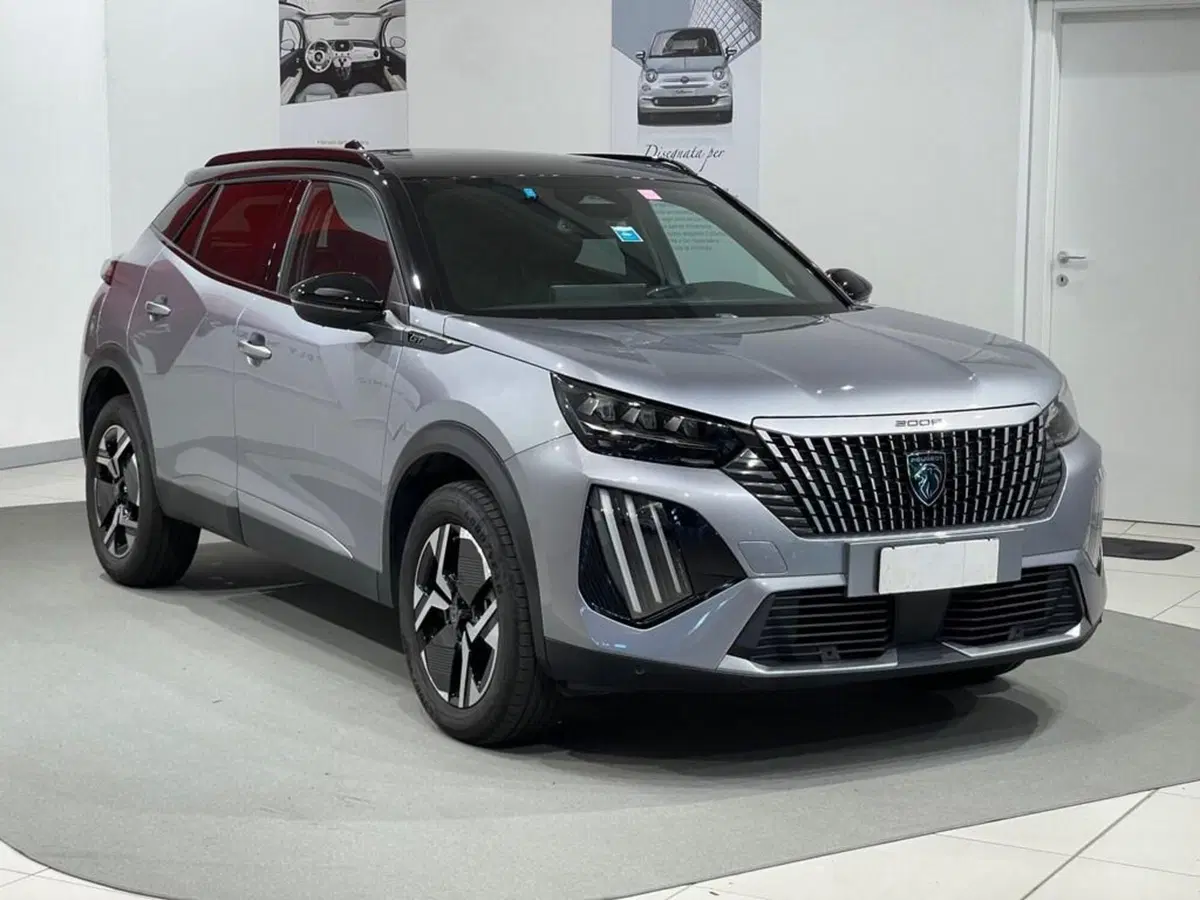 Peugeot 2008 usata a Sondrio (7)