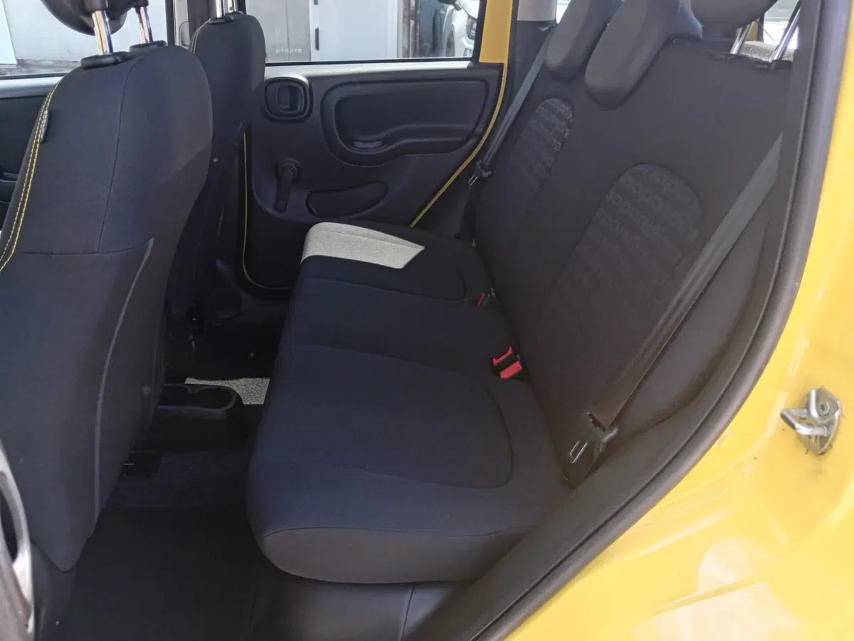 Fiat Panda Cross usata a Alessandria (13)