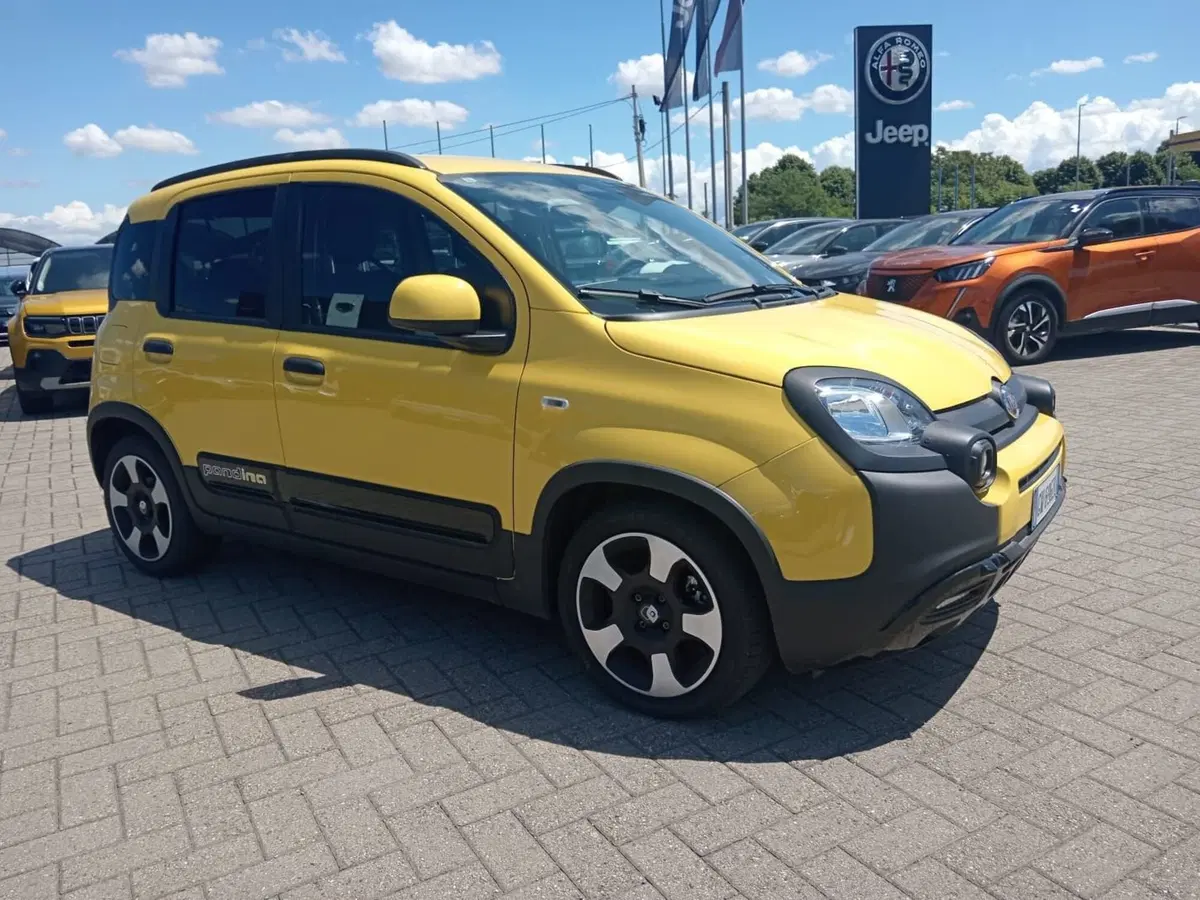 Fiat Panda Cross usata a Alessandria (3)