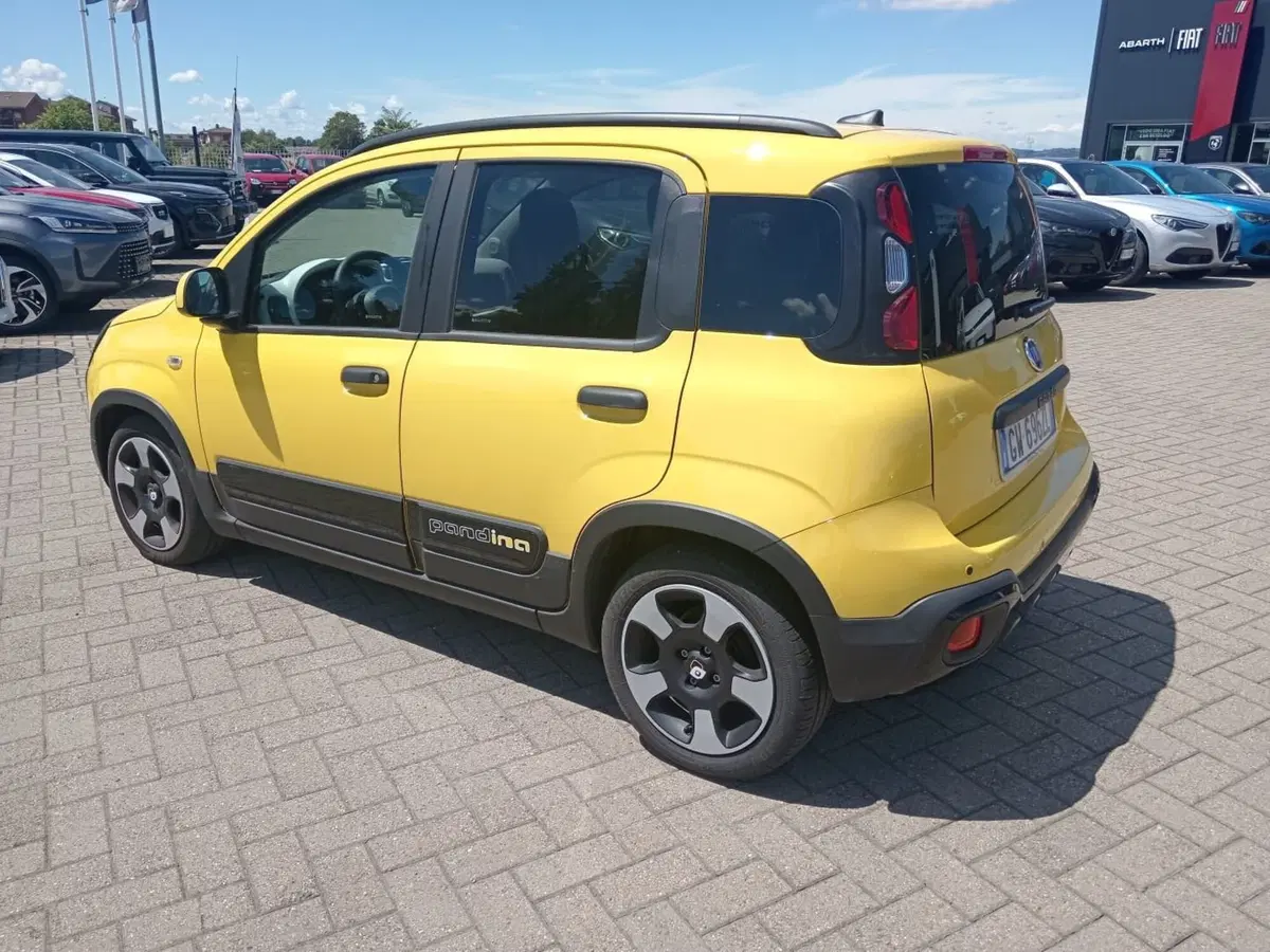 Fiat Panda Cross usata a Alessandria (7)
