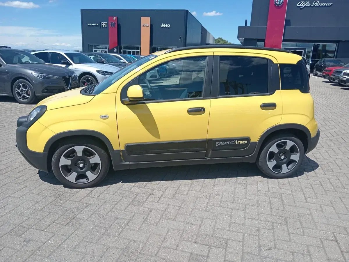 Fiat Panda Cross usata a Alessandria (8)