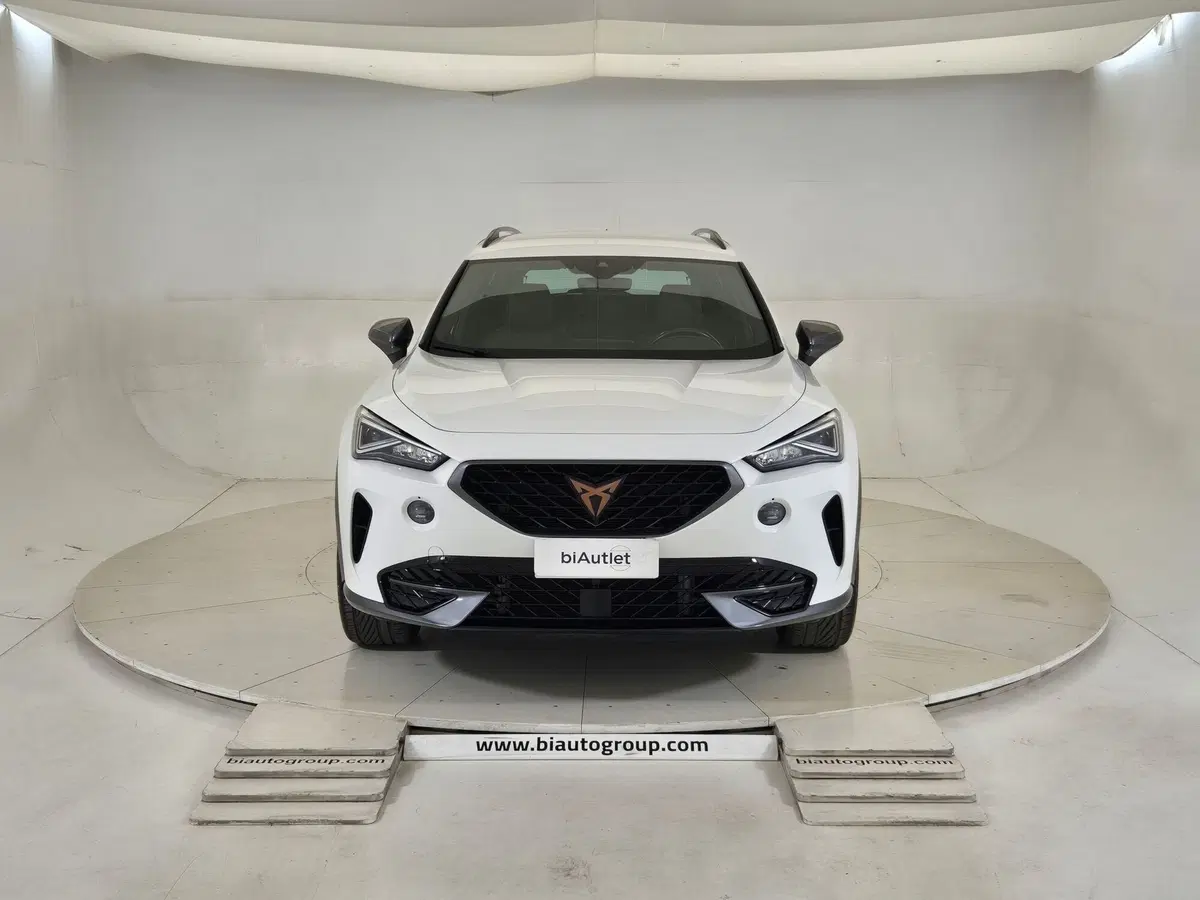 Cupra Formentor usata a Torino (2)