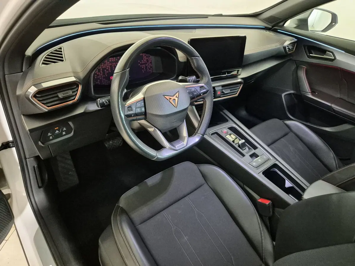 Cupra Formentor usata a Torino (6)