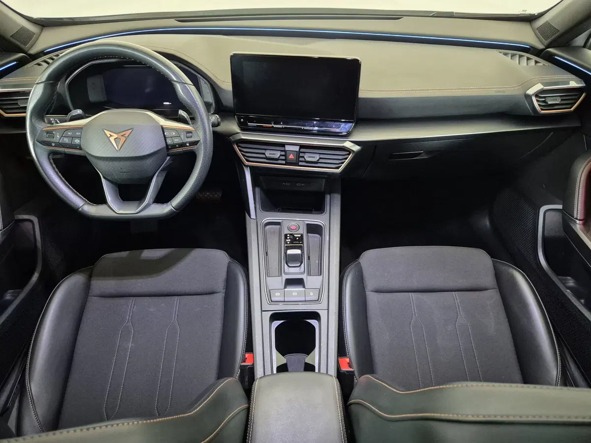Cupra Formentor usata a Torino (8)