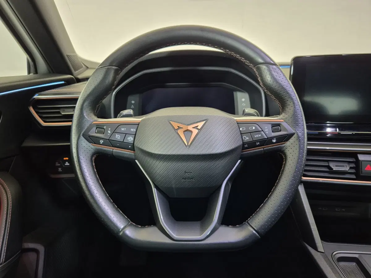 Cupra Formentor usata a Torino (9)