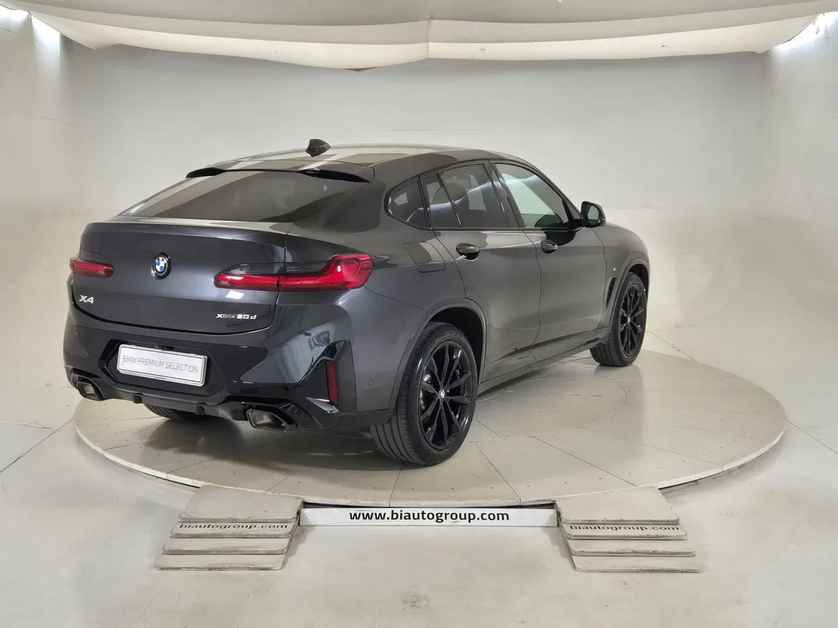 BMW X4 usata a Torino (5)