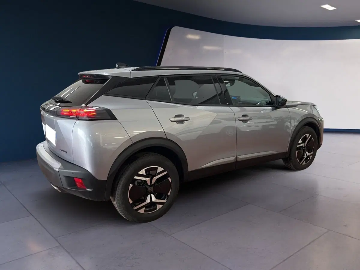 Peugeot 2008 usata a Torino (4)
