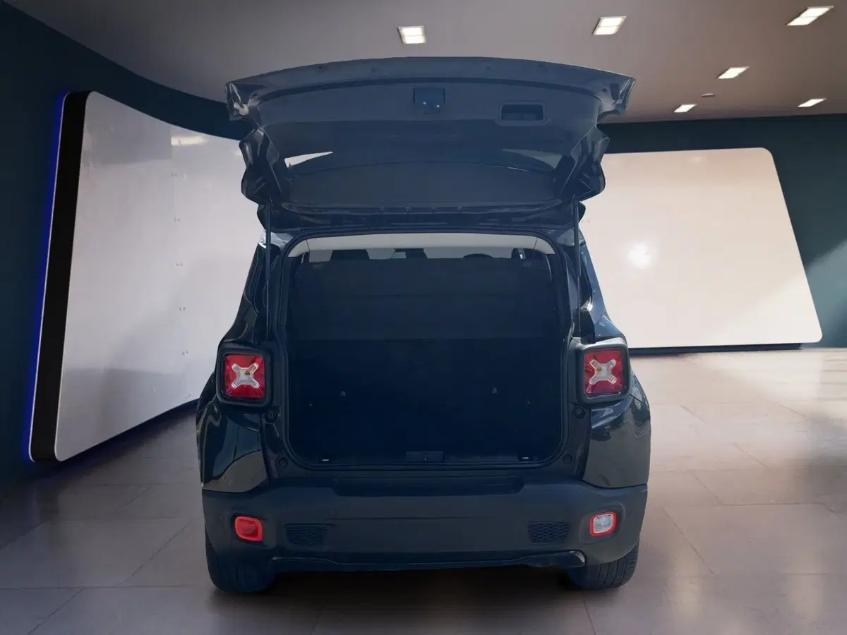 Jeep Renegade usata a Torino (7)